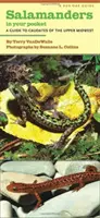 Salamandre în buzunarul tău: Un ghid al Caudatelor din Upper Midwest - Salamanders in Your Pocket: A Guide to Caudates of the Upper Midwest