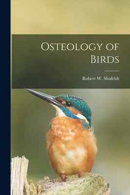 Osteologia păsărilor - Osteology of Birds