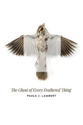 Fantoma fiecărui lucru cu pene (The Ghost of Every Feathered Thing) - The Ghost of Every Feathered Thing