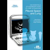 Essentials of Veterinary Point of Care Ultrasound: Spațiul pleural și plămânul - Essentials of Veterinary Point of Care Ultrasound: Pleural Space and Lung