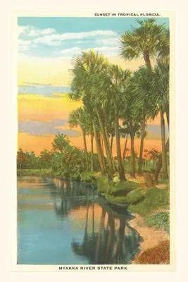 Jurnal de epocă Apus de soare în Florida tropicală, Myakka River State Park - Vintage Journal Sunset in Tropical Florida, Myakka River State Park