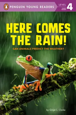 Aici vine ploaia!: Pot animalele să prezică vremea? - Here Comes the Rain!: Can Animals Predict the Weather?