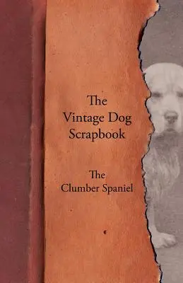Vintage Dog Scrapbook - The Clumber Spaniel - The Vintage Dog Scrapbook - The Clumber Spaniel