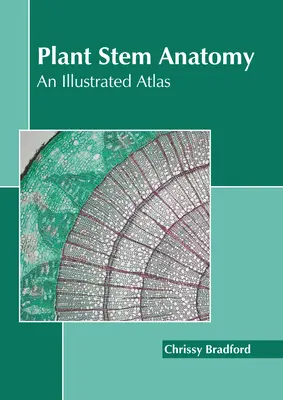 Anatomia tulpinilor plantelor: Un atlas ilustrat - Plant Stem Anatomy: An Illustrated Atlas