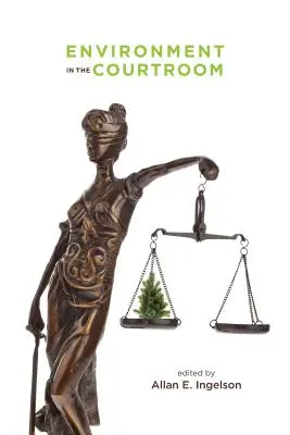 Mediul în sala de judecată - Environment in the Courtroom