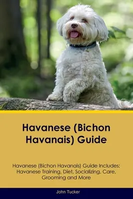 Ghid Havanese (Bichon Havanais) Ghidul Havanese include: Dresaj Havanese, dietă, socializare, îngrijire, toaletare și multe altele - Havanese (Bichon Havanais) Guide Havanese Guide Includes: Havanese Training, Diet, Socializing, Care, Grooming, and More