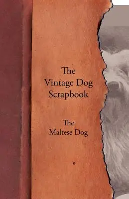 Vintage Dog Scrapbook - The Maltese - The Vintage Dog Scrapbook - The Maltese