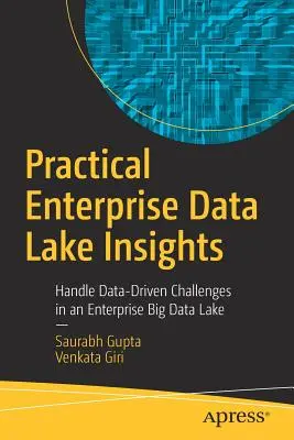 Practical Enterprise Data Lake Insights: Gestionați provocările generate de date într-un lac de date mari al întreprinderii - Practical Enterprise Data Lake Insights: Handle Data-Driven Challenges in an Enterprise Big Data Lake