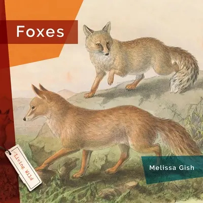 Vulpi - Foxes