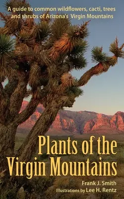 Plantele din Munții Fecioarei - Plants of the Virgin Mountains