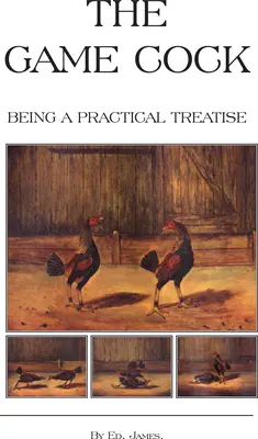 The Game Cock - Being a Practical Treatise on Breeding, Rearing, Training, Feeding, Trimming, Mains, Heeling, Spurs, Etc. (History of Cockfighting Ser) - The Game Cock - Being a Practical Treatise on Breeding, Rearing, Training, Feeding, Trimming, Mains, Heeling, Spurs, Etc. (History of Cockfighting Ser