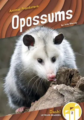 Oposum - Opossums
