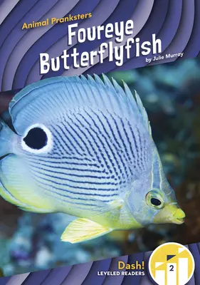 Pești fluture Foureye - Foureye Butterflyfish