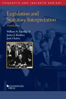 Legislația și interpretarea legilor - Legislation and Statutory Interpretation