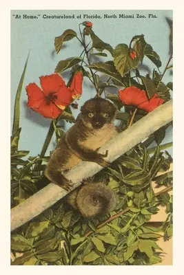 Jurnalul Vintage Slow Loris, Hibiscus, Florida - Vintage Journal Slow Loris, Hibiscus, Florida