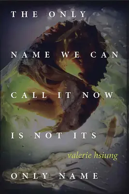 Singurul nume pe care i-l putem spune acum nu este singurul său nume - The Only Name We Can Call It Now Is Not Its Only Name