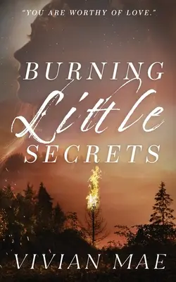 Burning Little Secrets: Ediție specială cu copertă aniversară - Burning Little Secrets: Special Edition Anniversary Cover