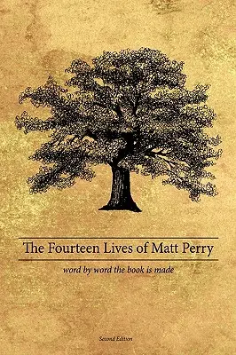 Cele paisprezece vieți ale lui Matt Perry - The Fourteen Lives of Matt Perry