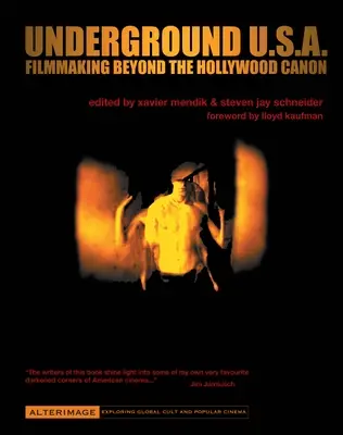 Underground U.S.A.: Filmmaking Beyond the Hollywood Canon