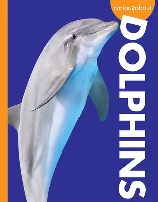 Curioși în legătură cu delfinii - Curious about Dolphins