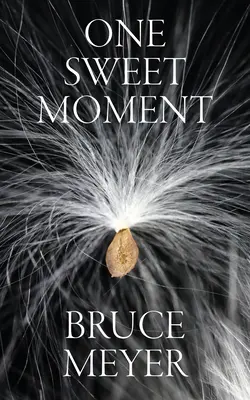 O clipă dulce: Volume 305 - One Sweet Moment: Volume 305