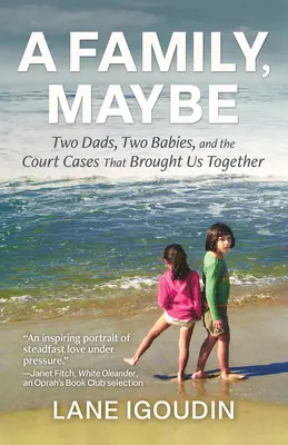 O familie, poate: Doi tați, doi bebeluși și procesele care ne-au adus împreună - A Family, Maybe: Two Dads, Two Babies, and the Court Cases That Brought Us Together