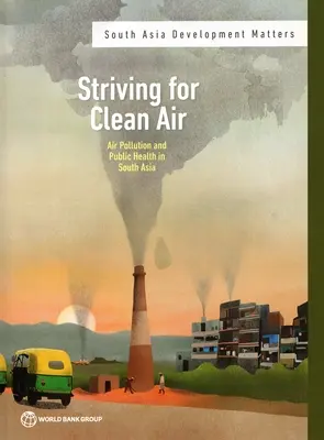 Poluarea aerului înconjurător și sănătatea publică în Asia de Sud - Ambient Air Pollution and Public Health in South Asia