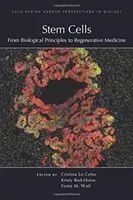 Stem Cells: De la principiile biologice la medicina regenerativă - Stem Cells: From Biological Principles to Regenerative Medicine