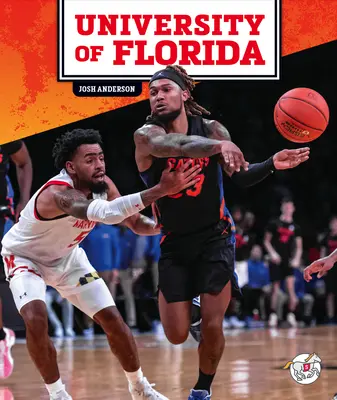 Universitatea din Florida - University of Florida
