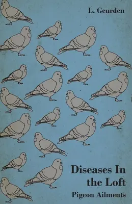 Bolile din pod - Afecțiunile porumbeilor - Diseases In the Loft - Pigeon Ailments