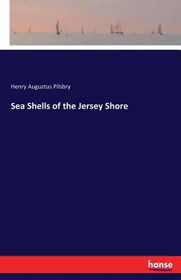 Scoici de mare de pe țărmul Jersey - Sea Shells of the Jersey Shore
