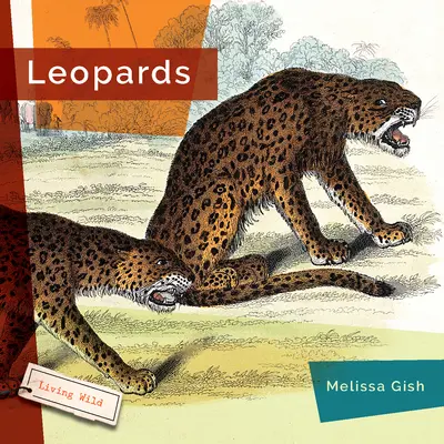 Leoparzi - Leopards