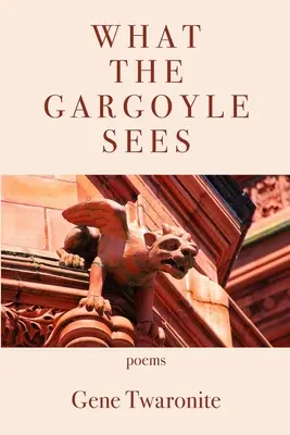 Ce vede Gargoyle - What the Gargoyle Sees