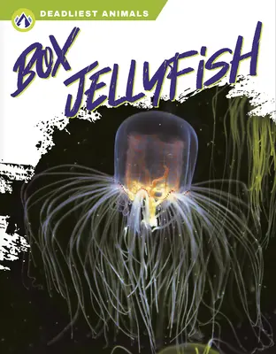Meduză de cutie - Box Jellyfish