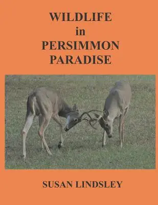 Viața sălbatică în Paradisul Persimmon - Wildlife in Persimmon Paradise
