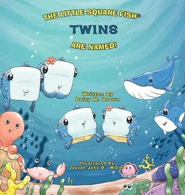 Gemenii Little Square Fish au primit un nume - The Little Square Fish Twins Are Named