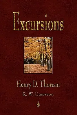 Excursii - Excursions