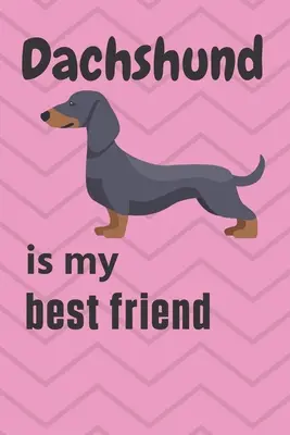 Dachshund este cel mai bun prieten al meu: Pentru fanii câinilor Dachshund - Dachshund is my best friend: For Dachshund Dog Fans