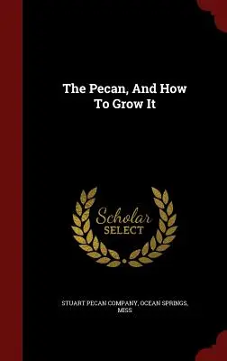 Nucile Pecan și cum să le cultivi - The Pecan, And How To Grow It