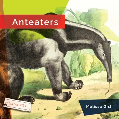 Furnicuțe - Anteaters