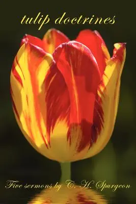 Doctrine tulipane - tulip doctrines