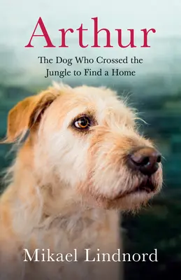 Arthur: Câinele care a traversat jungla pentru a-și găsi o casă - Arthur: The Dog Who Crossed the Jungle to Find a Home