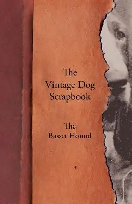 Scrapbook-ul câinelui de epocă - Basset Hound - The Vintage Dog Scrapbook - The Basset Hound
