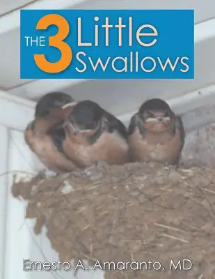 Cele 3 mici rândunici - The 3 Little Swallows