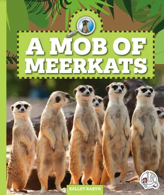 O gloată de suricate - A Mob of Meerkats