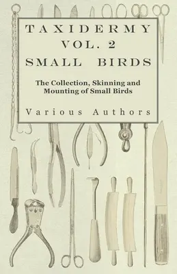 Taxidermie Vol. 2 Păsări mici - Colectarea, jupuirea și montarea păsărilor mici - Taxidermy Vol. 2 Small Birds - The Collection, Skinning and Mounting of Small Birds