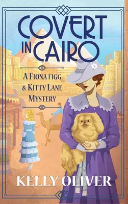 Sub acoperire în Cairo - Covert in Cairo