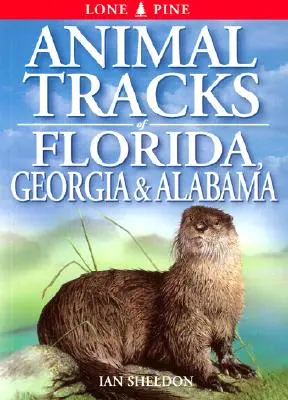 Urme de animale din Florida, Georgia, Alabama - Animal Tracks of Florida, Georgia, Alabama