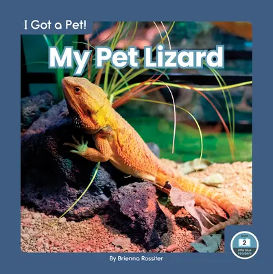 Șopârla mea de companie - My Pet Lizard