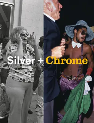 Mitch Epstein: Argint + crom - Mitch Epstein: Silver + Chrome